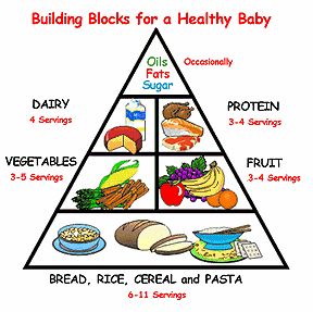 Pregnancy Nutrition